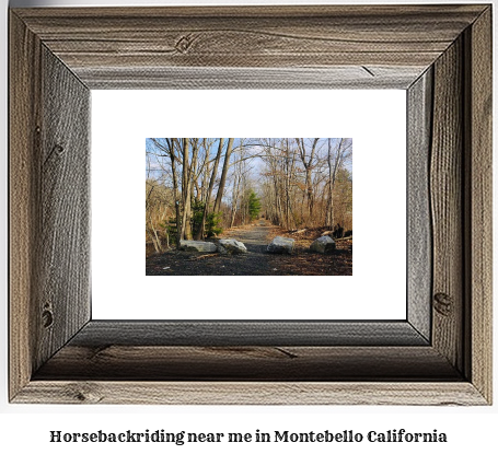 horseback riding near me in Montebello, California